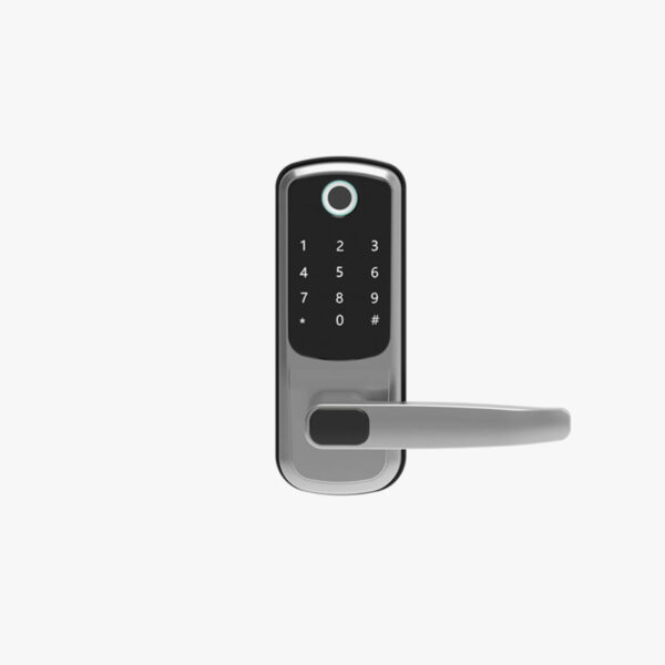 Smart Door Lock WiFi Biometric Fingerprint